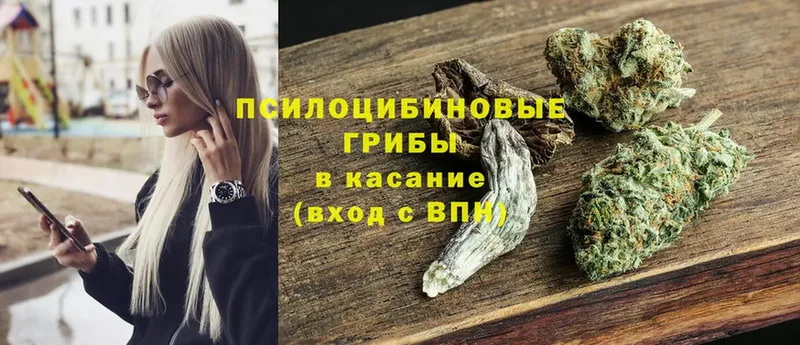 Псилоцибиновые грибы Magic Shrooms Карабаш